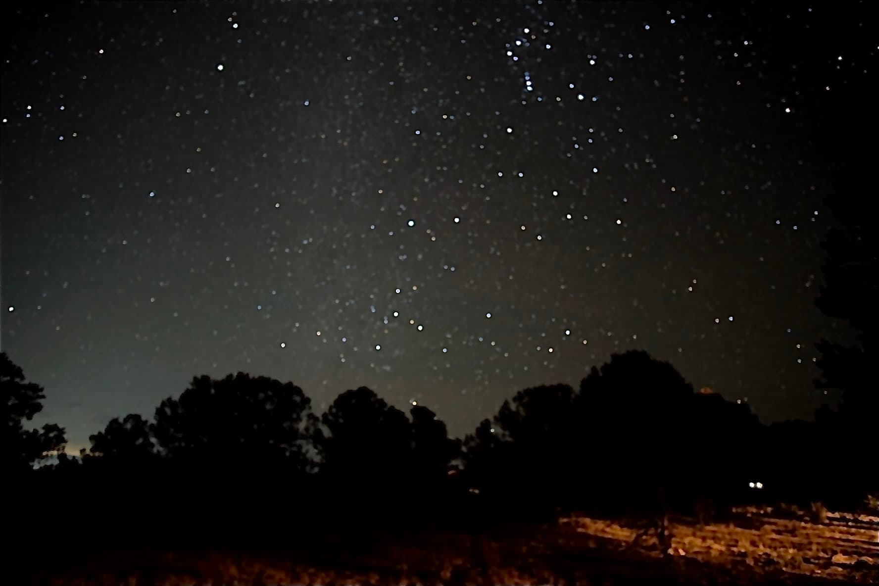 Long-exposure night sky astrophotography showing Orion and the Pleiades above silhouetted high-desert trees in Buena Vista, Colorado